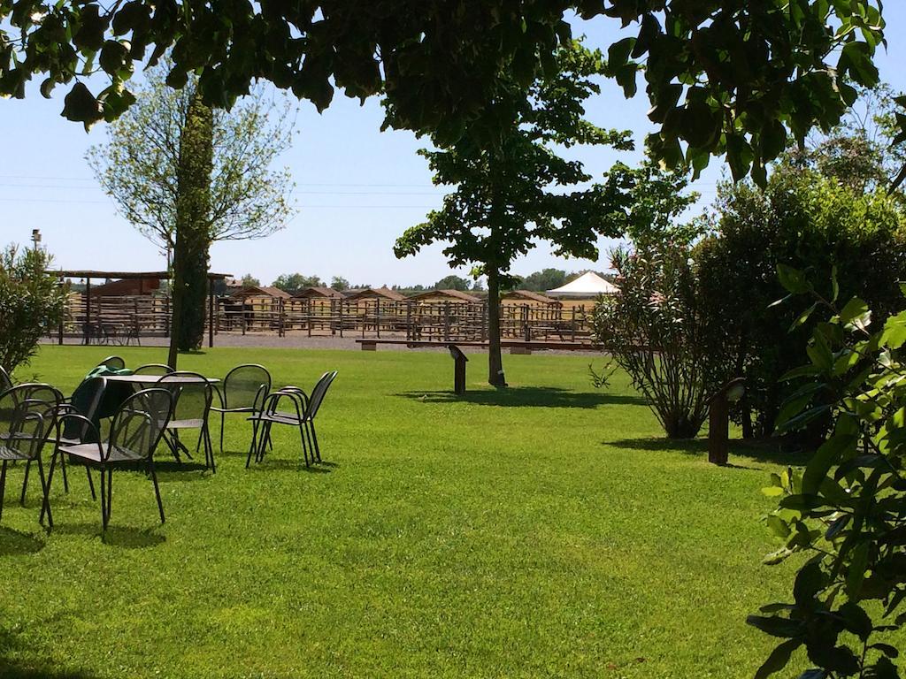 Agriturismo Giuncola & Granaiolo Rispescia Exterior photo