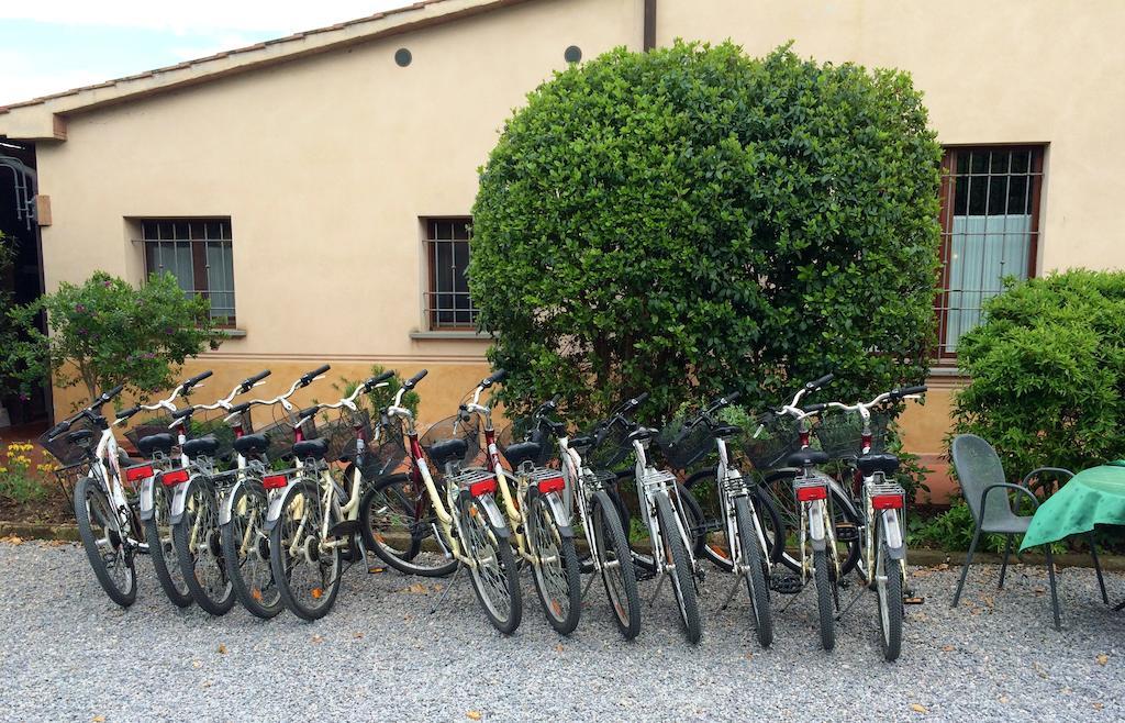 Agriturismo Giuncola & Granaiolo Rispescia Exterior photo