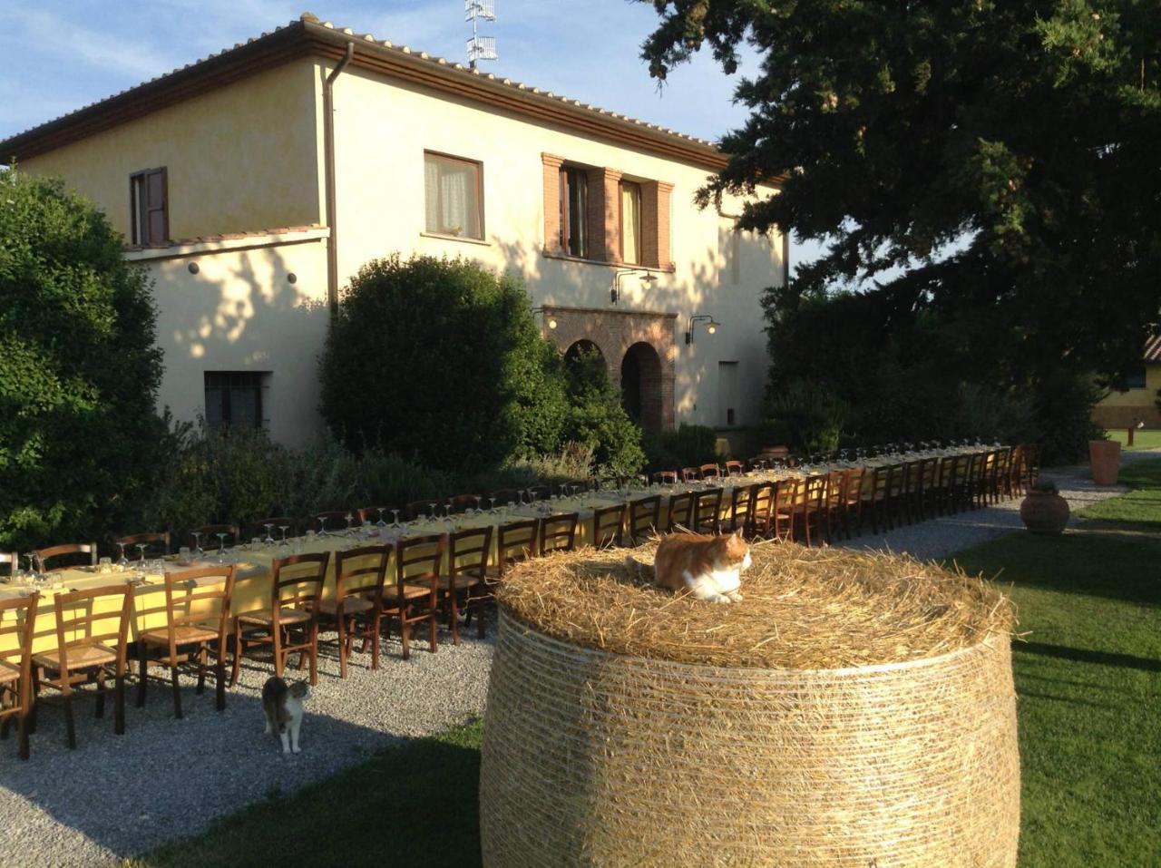 Agriturismo Giuncola & Granaiolo Rispescia Exterior photo